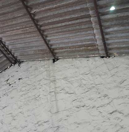 Project Image 1